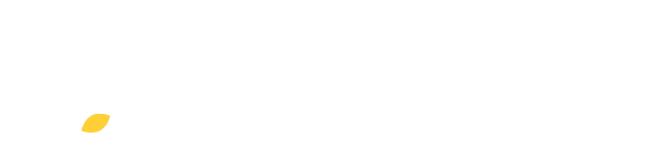 University Website Home